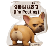 856970464