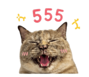856970714