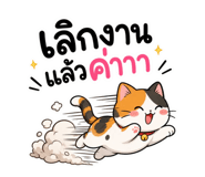 856970981