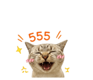 856971170