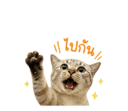 856971173