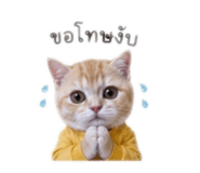 856971793