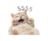 856971794