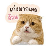 856972221