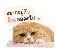 856972226