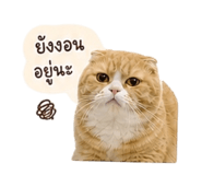 856972231
