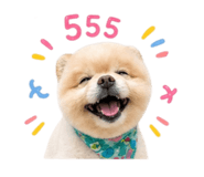 856972450