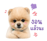 856972452