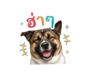 856972962