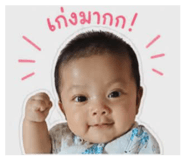 856973011