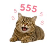 856973098
