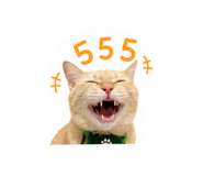 856973203