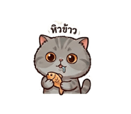 856973301