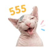 856973355