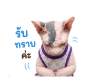 856973370