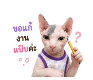 856973373