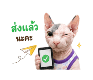 856973374