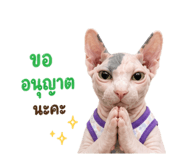 856973376