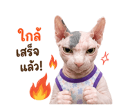 856973378
