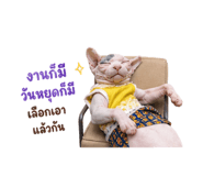856973381