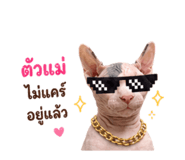 856973382