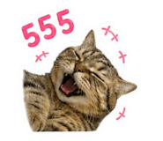 856973586
