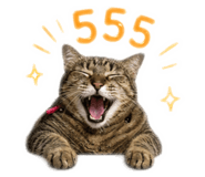 856973747