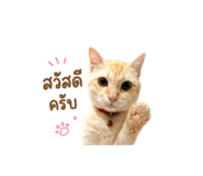856973945