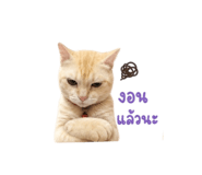 856973948
