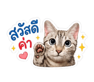 856974073