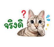 856974074