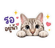 856974079