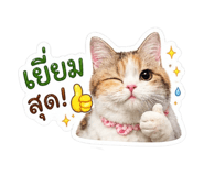 856974081