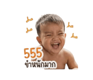 856975397