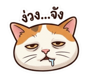 856975929