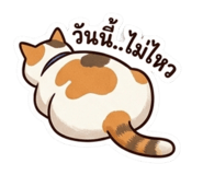856975930