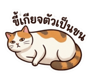 856975934