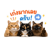 856975979