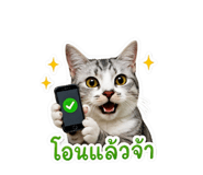 856976138