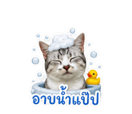 856976139