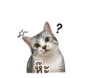 856976151