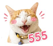 856976302
