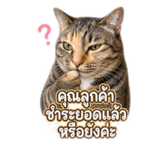 856976981