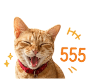 856977017