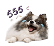856977111