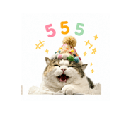 856977331