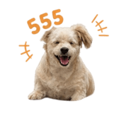 856977798