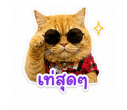 856978385