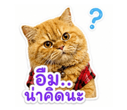 856978396