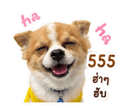 856978918